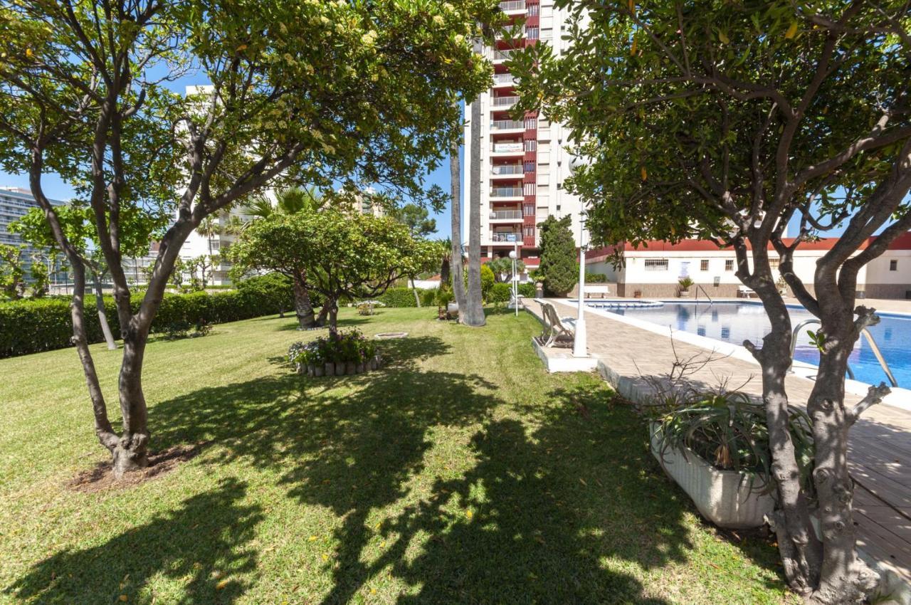 Apartament Ag Aquarium Playa de Gandia Zewnętrze zdjęcie